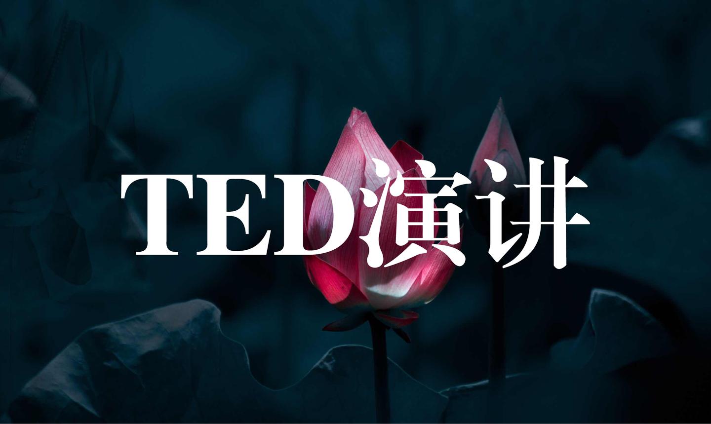 王智远ted演讲:复利思维,不止于"金钱"