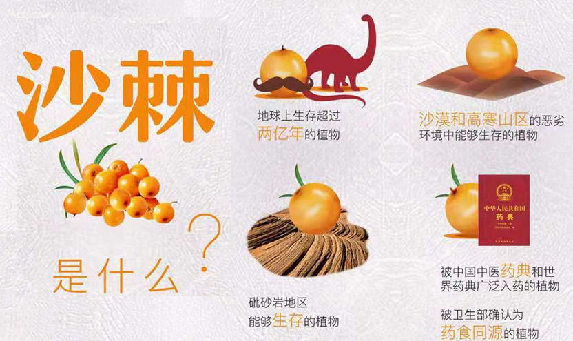 纯天然没有任何副作用,迄今为止没有任何一种植物可与之比