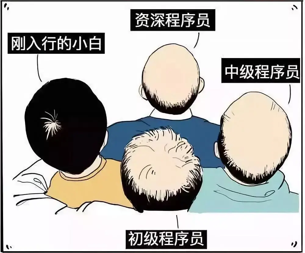 程序员如何防止脱发呢?