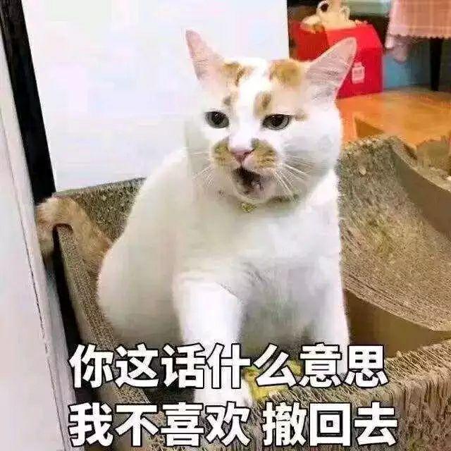 有哪些可以哄女朋友的表情包?