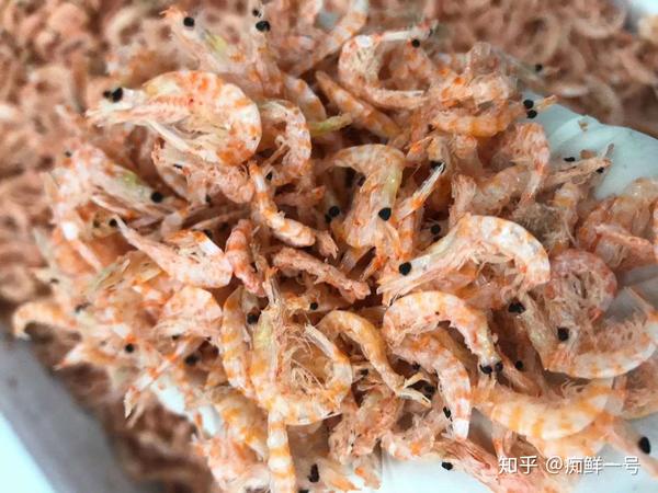 痴鲜野生海鲜: 红磷虾,蛋白质含量出众是什么概念?