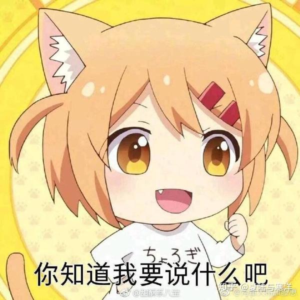 为什么人们喜欢把深情的人叫做舔狗?
