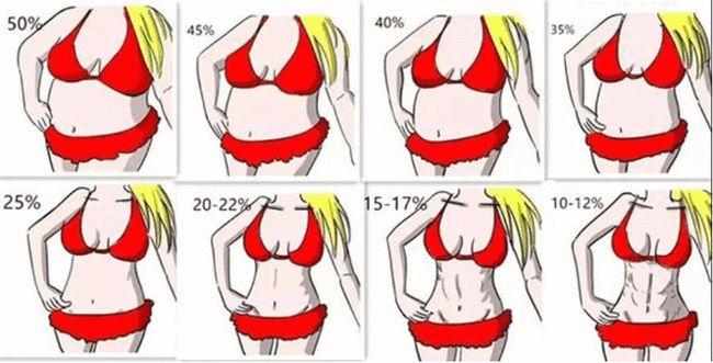 也许下图这样表达大家可以更直观的看出差别 以前判断个人胖瘦时,最