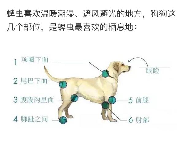 动物的生理结构和活动特点决定它们接触到寄生虫的可能性比