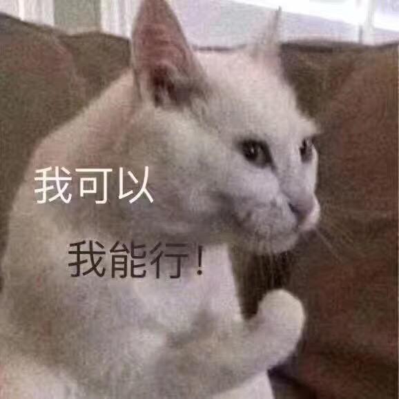 萌宠表情包来袭,快来收图,是谁掐住了我命运的后颈皮