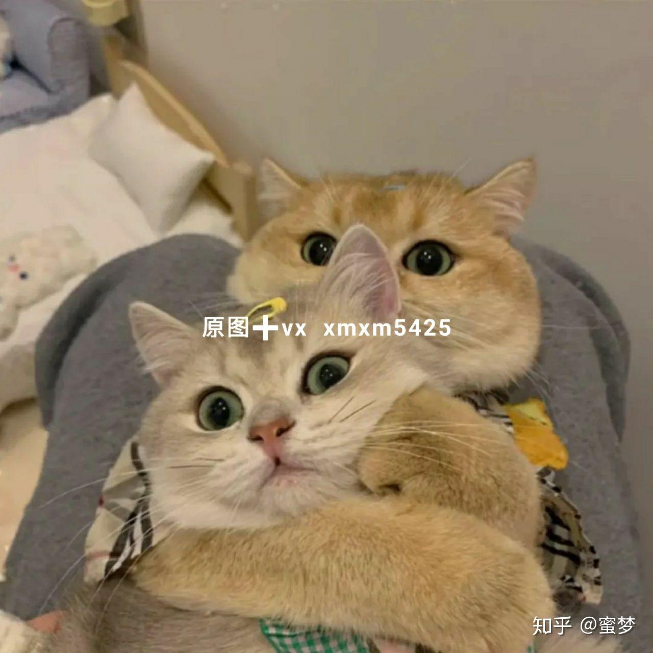 抖音热门情侣头像 | 不听话的话会被惩罚的哦
