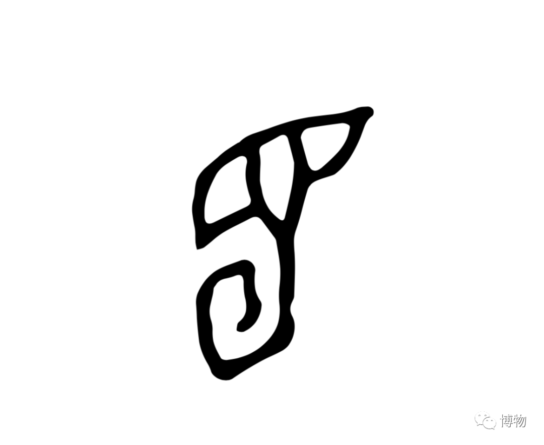 《说文解字》阐释这个字的象形,说此虫像蚕,甲骨文的上半部分是描绘它
