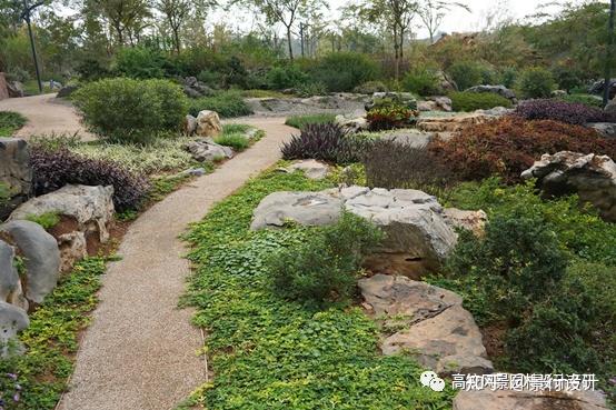 荒原植物景观区: 中间缓坡区展现荒原植物景观.