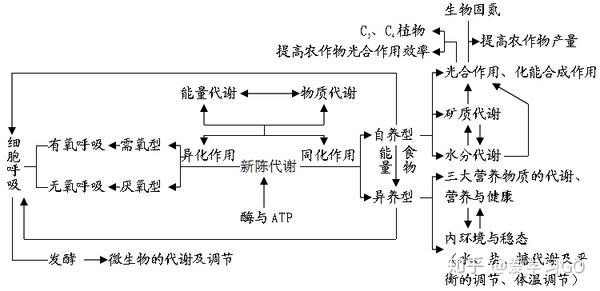 高中生物知识结构图全汇总