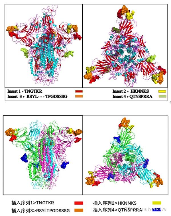 新型冠状病毒sars-cov-2(2019-ncov)与hiv有关?