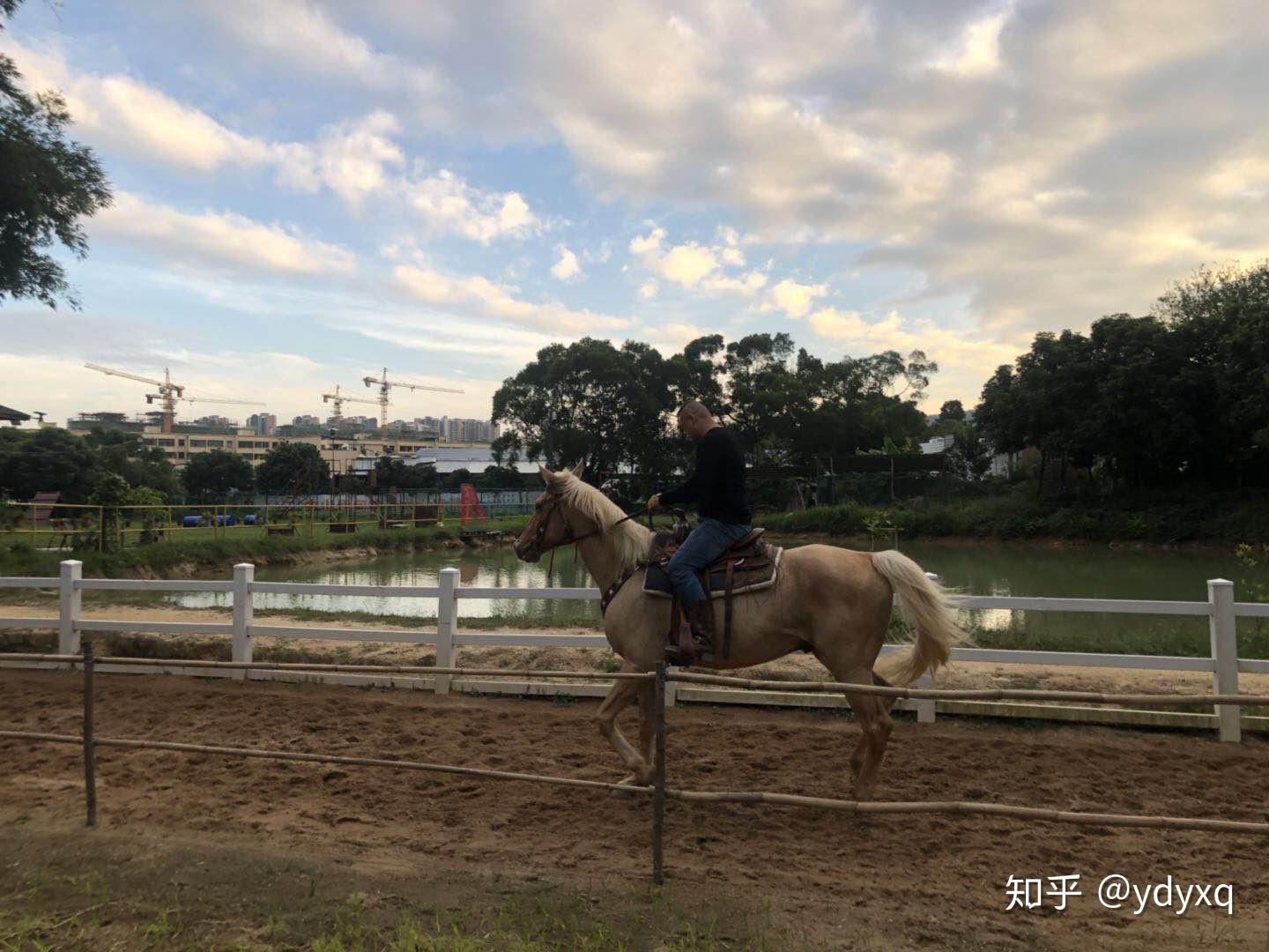 珠海有哪些马场想学骑马