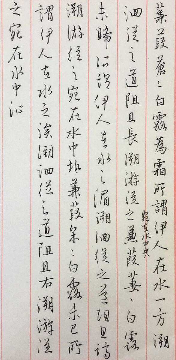 诗经《蒹葭》钢笔字笔友习作欣赏