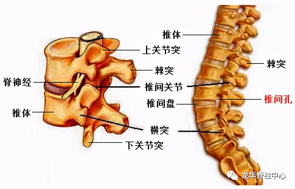 椎间孔镜技术常见问题解答