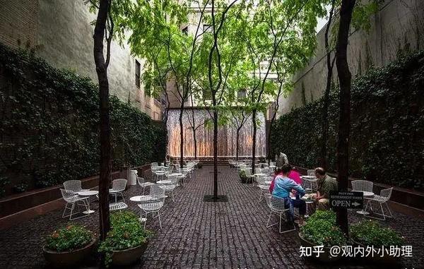 佩雷公园的常青藤与瀑布墙