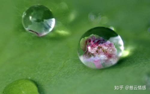 最好的分寸,是看透不说透