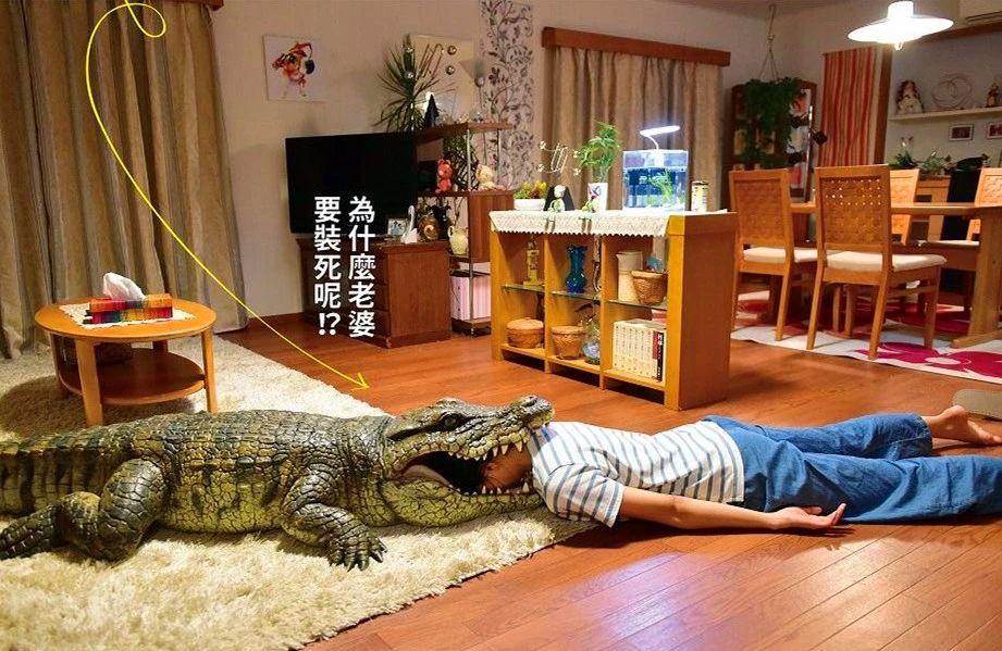 老婆的100种死法,岛国电影又作妖!