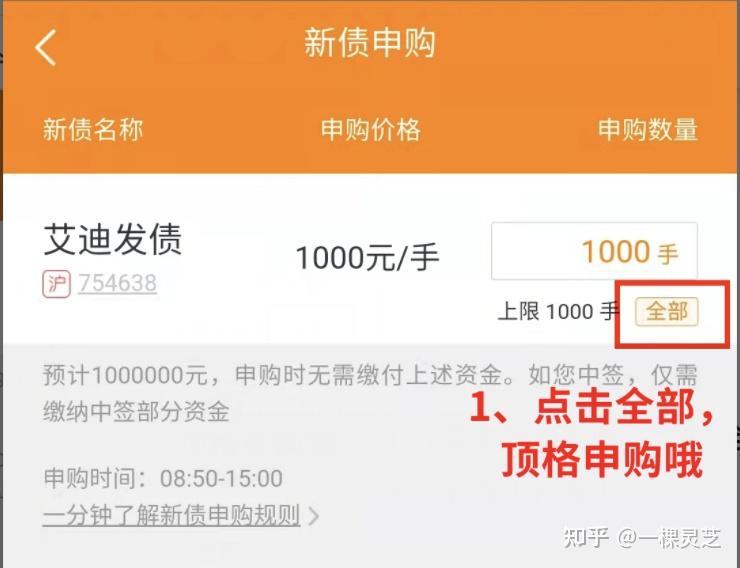 可转债投资知识11不用自己的钱怎么0资金进行打新债