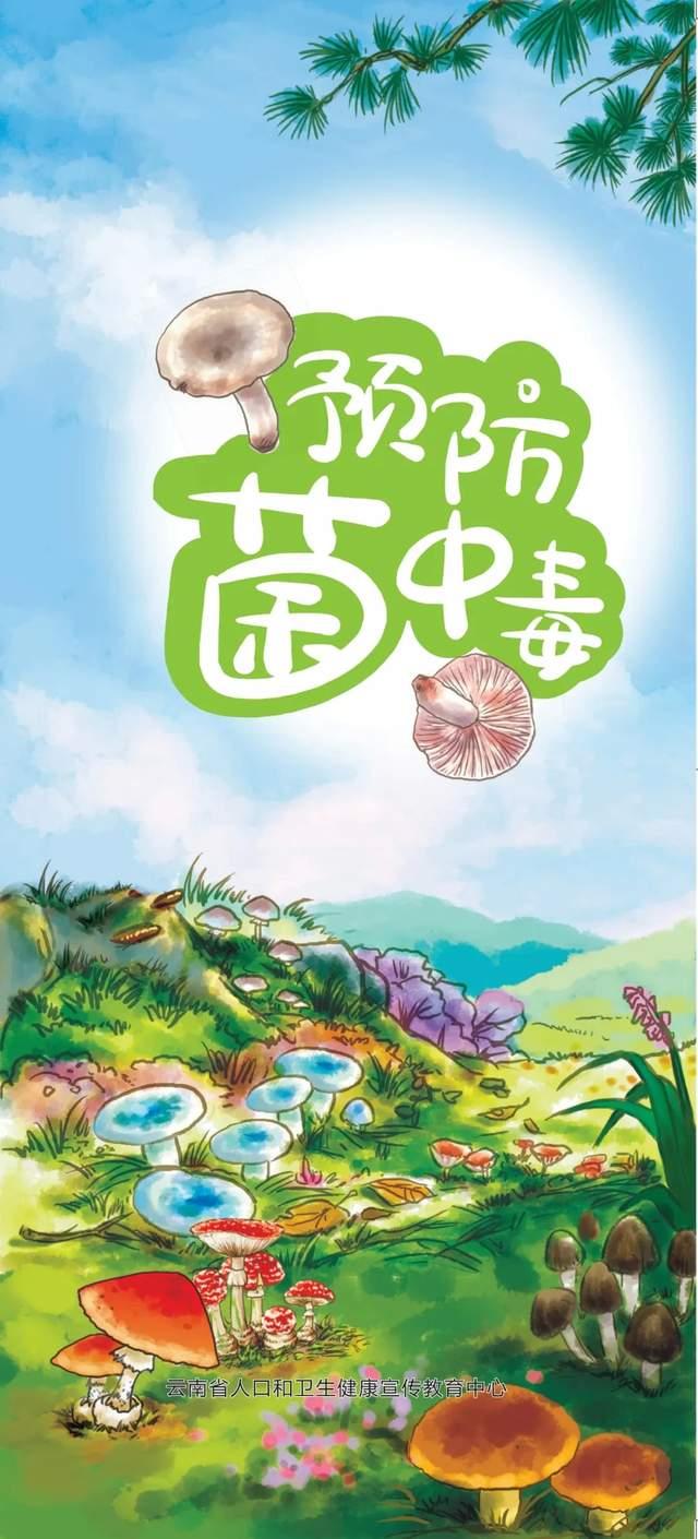 预防野生菌中毒预警公告