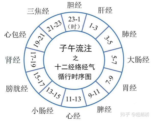 解构中西医3 诺贝尔奖与子午流注-时间医疗的启蒙