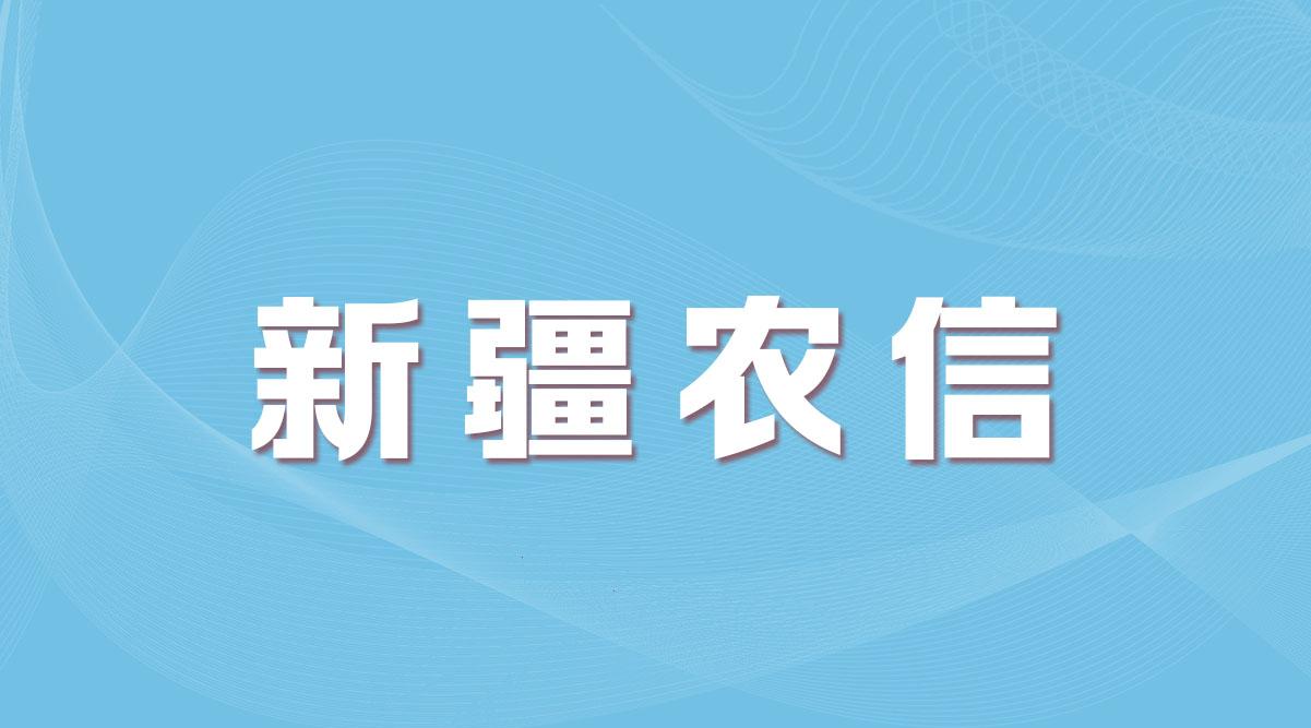 专科起报!2021年新疆农信正式开启!