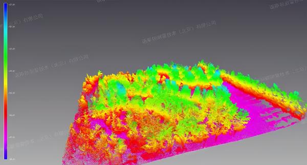 林业三维扫描彩色点云数据
