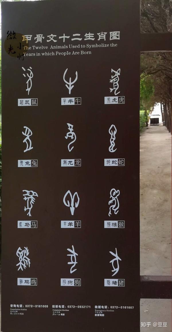 甲骨文十二生肖图,汉字的象形文字应该就是这么来的