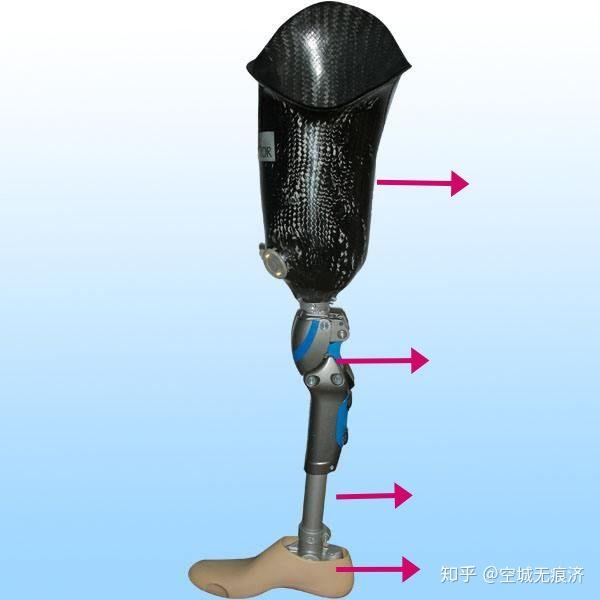 1【分类】按照受力结构:61壳式假肢【制成人体形状的壳体来承担