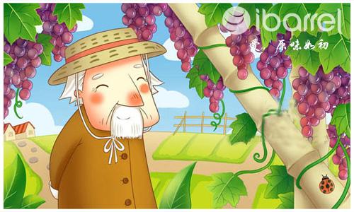 他辛勤地照料着这座葡萄园,每年都要收获许多葡萄.