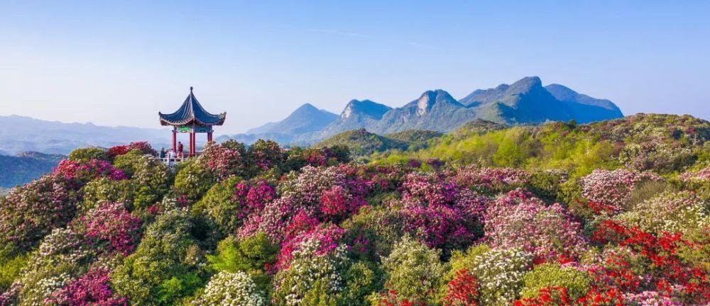 贵州毕节值得你去的旅游地方