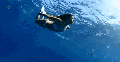这个夏天除了在家撸猫游艇出海也是棒呆的选择