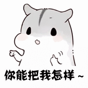 有哪些有意思的仓鼠图和仓鼠表情包?