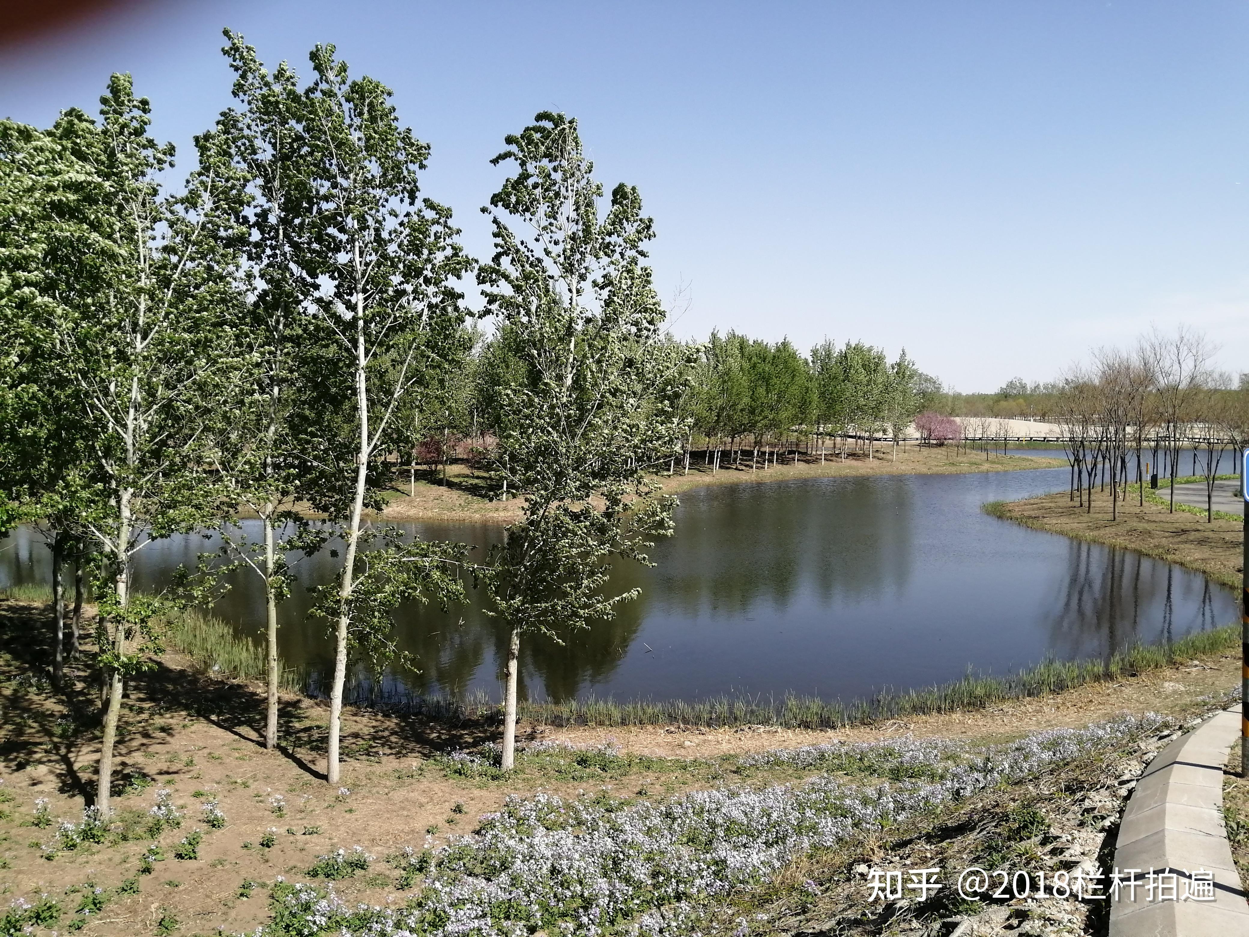 北京东郊湿地公园