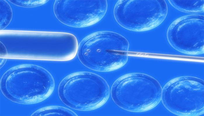 人造细胞领域获得新突破,科学家成功将整个自然细胞嵌入人造细胞外壳