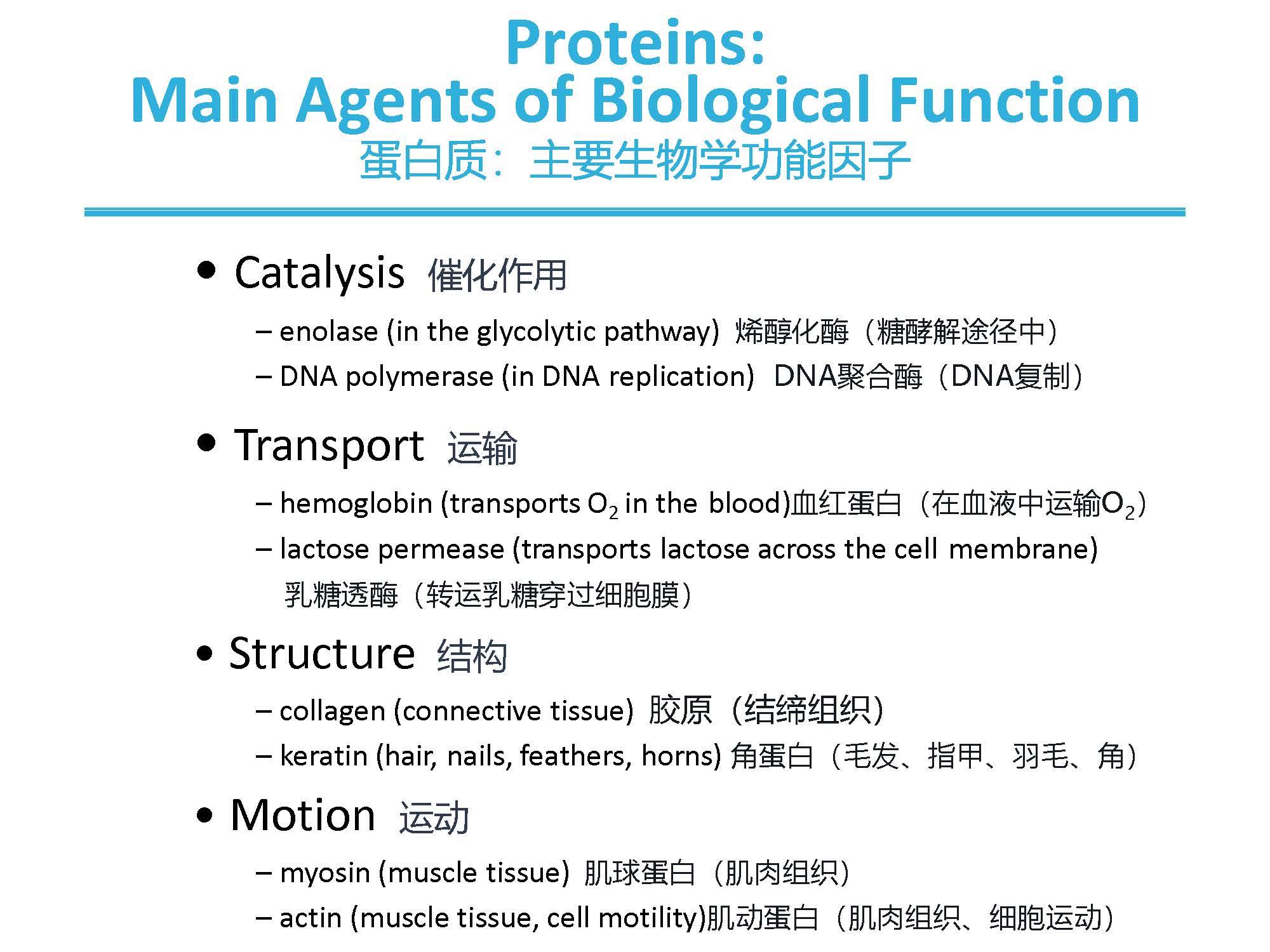 Lehninger Principles Of Biochemistry