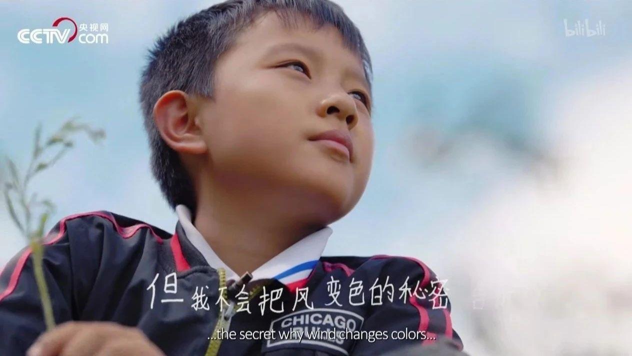 人文纪录片人生第一次为什么能感动那么多人