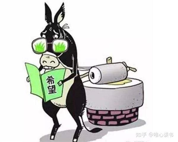 二驴死了,他原本是大舅家一只职场老驴,村里人都去分肉,我也跑到现场