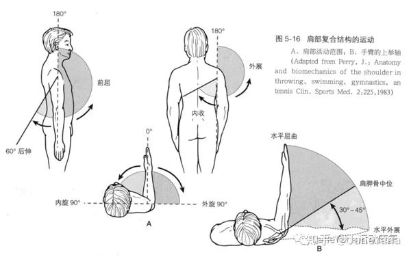 肩袖损伤二