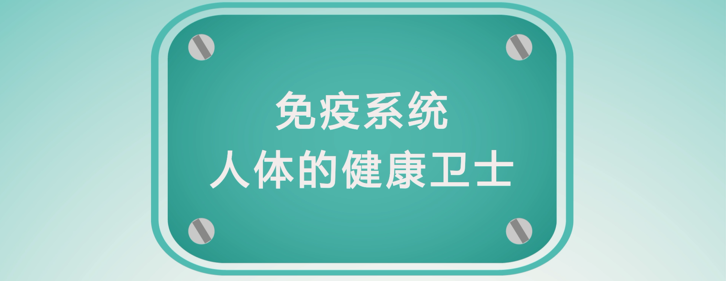 免疫系统-人体健康卫士