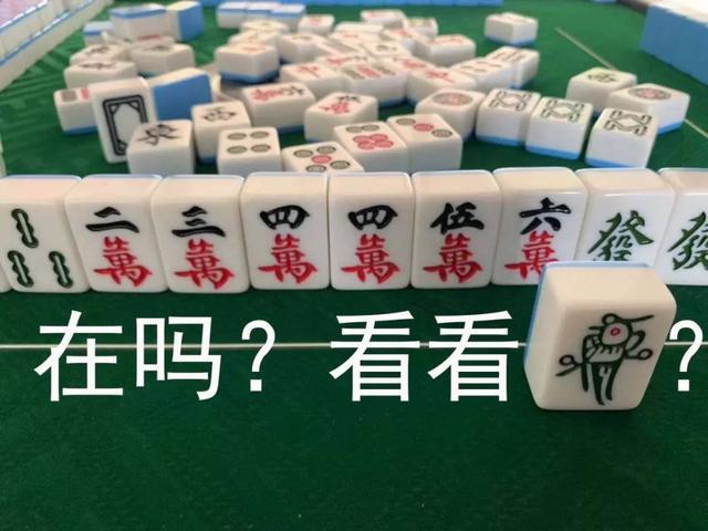 「南京麻将花砸2」 南京麻将怎么打?大神们帮帮