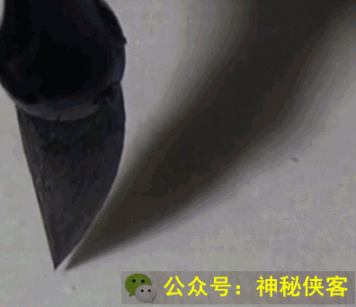 卢中南|欧体楷书基本笔画gif动态图