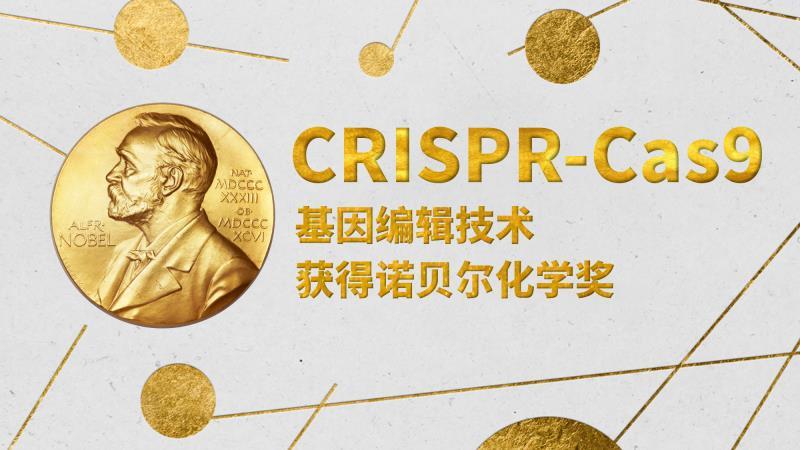 idt公司crispr基因编辑技术解决方案