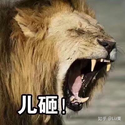 哪些表情包让你看一次笑一次?