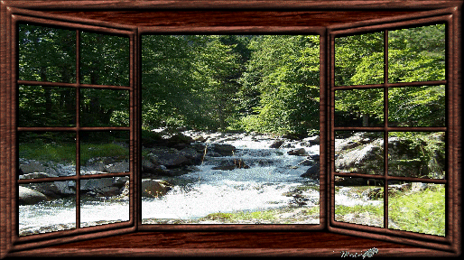 【gif】窗 (4.3) 树林溪流