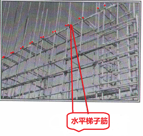 水平梯子筋控制竖向钢筋的间距,竖向钢筋的排距,受力钢筋的保护层