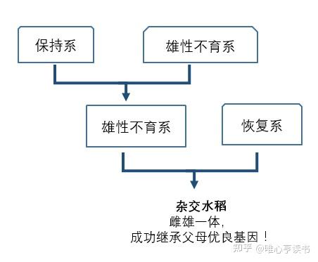 那一天他在三亚发现野败纪念袁隆平院士