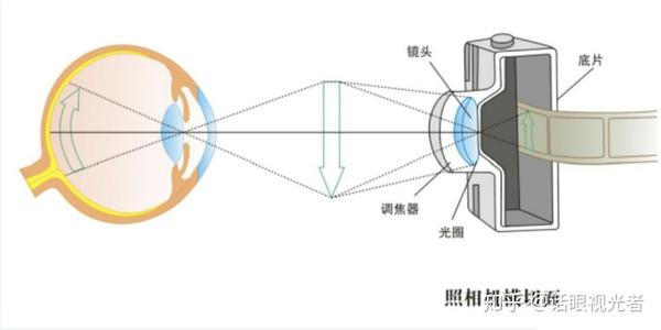 限制进入眼球的光束大小; 视网膜相当于光学仪器的感光成像系统,犹如
