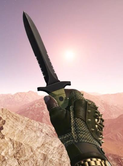 【艺益原创】csgo皮肤测评(89)九头蛇手套测评
