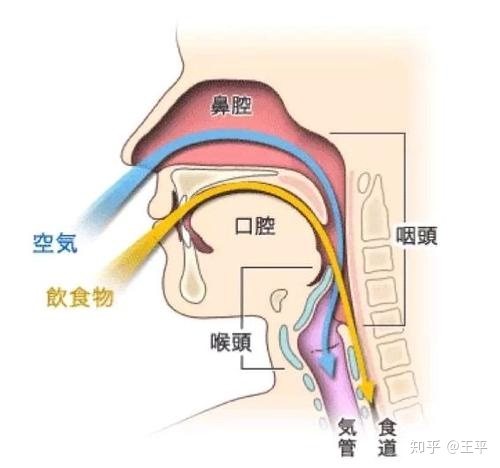 咽炎患者日常饮食需要注意什么?