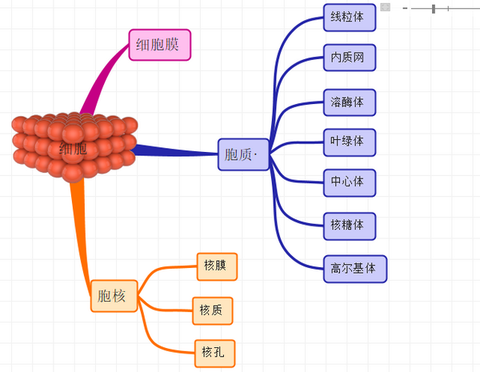 思维导图的用途之制定项目管理方案