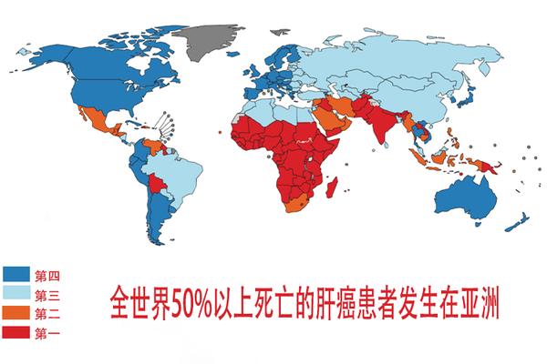 流行病学查询显示,粮食受黄曲霉毒素b1污染严重的区域,肝癌发病率更高
